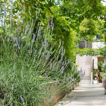 Guest house House Rossella With Cozy And Close To The Nerezine