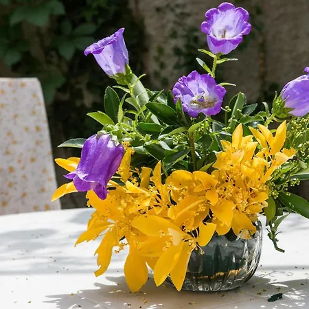 Guest house House Rossella With Cozy And Close To The *